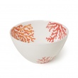 Salad Bowl Coral Red